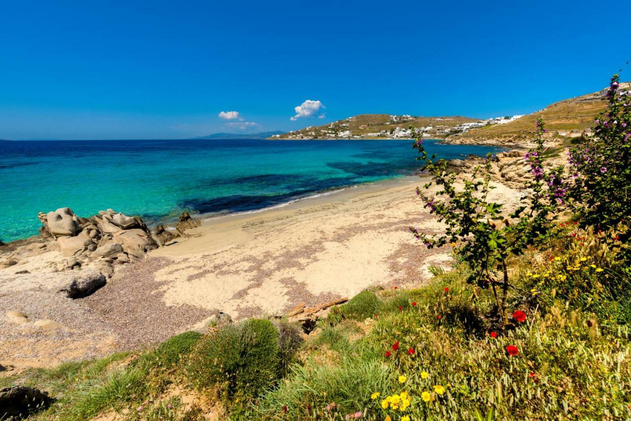 Amorous Luxury Villa Agios Ioannis Diakoftis Zewnętrze zdjęcie